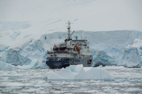 PLA24-17, 2017-12-24 - Stony Point Esther Kokmeijer-04_© Oceanwide Expeditions.jpg