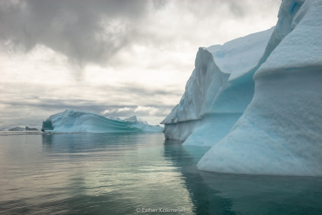 PLA25-17, 2018-01-01 Cuverville Island - Esther Kokmeijer-46_© Oceanwide Expeditions.jpg