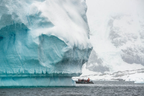 PLA25-17, 2018-01-04 Zodiac Cruize - Booth Island Bay - Esther Kokmeijer-02_© Oceanwide Expeditions.jpg