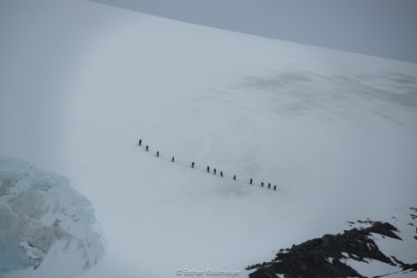 PLA24-17, 2017-12-21 - Jougla Point Esther Kokmeijer-04_© Oceanwide Expeditions.jpg