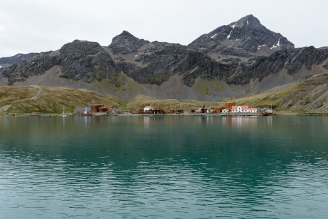 OTL25-18, Day 08, 20171223_SandraPetrowitz_Grytviken_© Oceanwide Expeditions.jpg