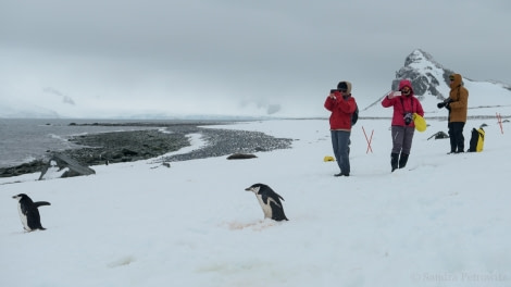 OTL25-18, Day 15, 20171230_SandraPetrowitz_HalfMoon_Encounter_© Oceanwide Expeditions.jpg