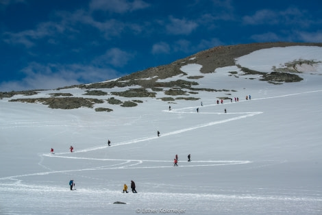 PLA25-17, 2018-01-01 Danco Island - Snowshoe - Esther Kokmeijer-10_© Oceanwide Expeditions.jpg