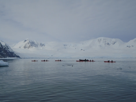 OTL28-18_Kayakers 2 © Oceanwide Expeditions.JPG