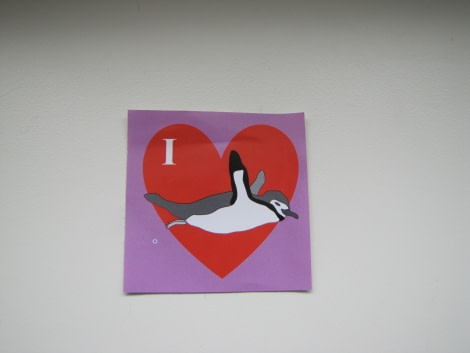 OTL29-18 Day 13 Valentine's Day penguin © Oceanwide Expeditions.JPG