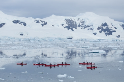 OTL31-18 Day 5 20180307_Arjen_Drost_64056 © Oceanwide Expeditions.jpg