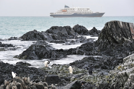 Hondius Antarctica landscape © Oceanwide Expeditions (4).jpg