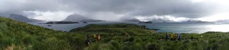 PLA29-18 Day 7 Prion Island DSC08710 © Oceanwide Expeditions.JPG