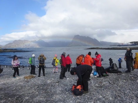 PLA29-18 Day 7 Prion Island DSC08655 © Oceanwide Expeditions.JPG