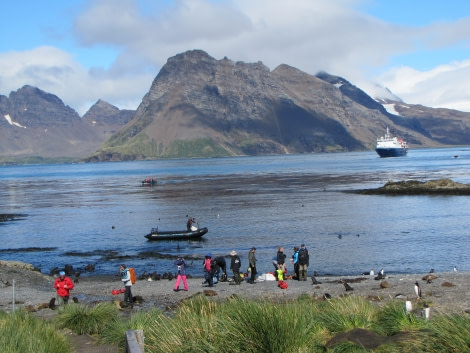 Prion Island Zodiac beach 2.JPG