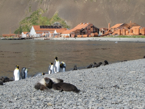 OTL29-18 Day 8 Stromness whaling station 6 © Oceanwide Expeditions.JPG