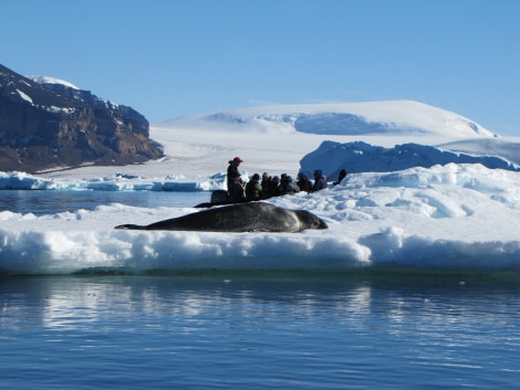 OTL29-18 Day 14 Brown Bluff Leopard seal 2 © Oceanwide Expeditions.JPG