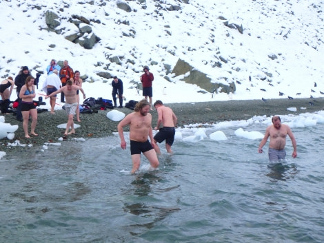 PLA31-18 Polar Plunge P3220024 © Oceanwide Expeditions.jpg © Oceanwide Expeditions.jpg