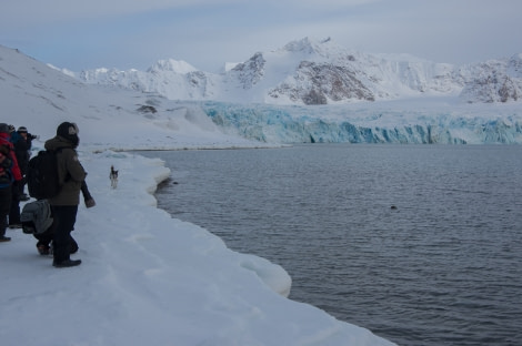 Spotting a seal, Arctic Spring © Jörg Berning - Oceanwide Expeditions.jpg