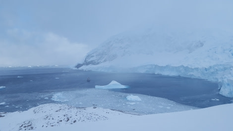 PLA31-18 Neko & Skontorp Cove 20180323_102157 © Oceanwide Expeditions.jpg