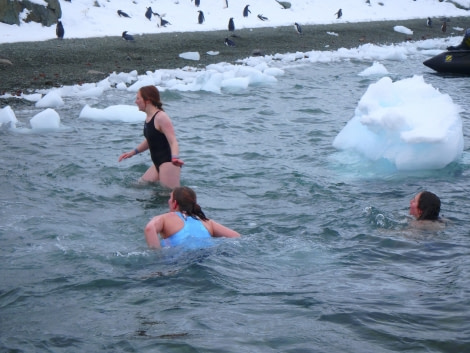 PLA31-18 Polar Plunge P3220036 © Oceanwide Expeditions.jpg © Oceanwide Expeditions.jpg