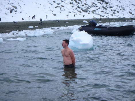 PLA31-18 Polar Plunge P3220047 © Oceanwide Expeditions.jpg © Oceanwide Expeditions.jpg