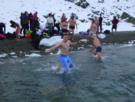 PLA31-18 Polar Plunge P3220020 © Oceanwide Expeditions.jpg © Oceanwide Expeditions.jpg