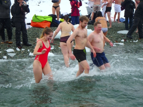 PLA31-18 Polar Plunge P3220037 © Oceanwide Expeditions.jpg © Oceanwide Expeditions.jpg