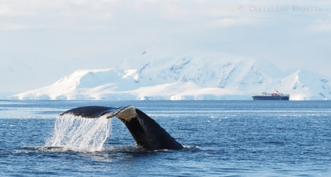 OTL32-18 20180318 Christian Engelke - Gerlache Strait © Oceanwide Expeditions.JPG