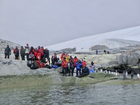 PLA30-18 Petermann Island © Oceanwide Expeditions.jpg