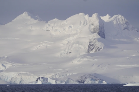 PLA31-18 Wilhelmina & Danco P1310191 © Oceanwide Expeditions.jpg © Oceanwide Expeditions.jpg