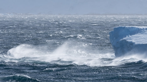 Pendleton Strait view © Sandra Petrowitz - Oceanwide Expeditions.jpg