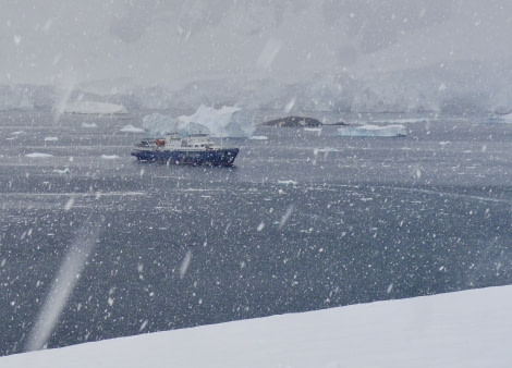 PLA30-18 Neko Harbour © Oceanwide Expeditions.jpg