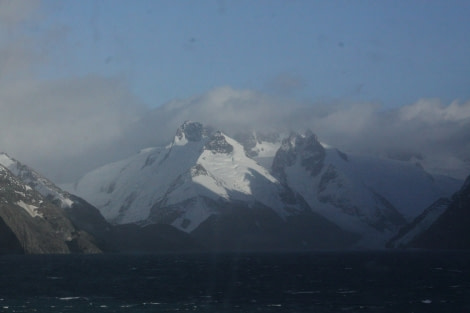 PLA35-18 Bob, head of Drygalski © Oceanwide Expeditions.JPG