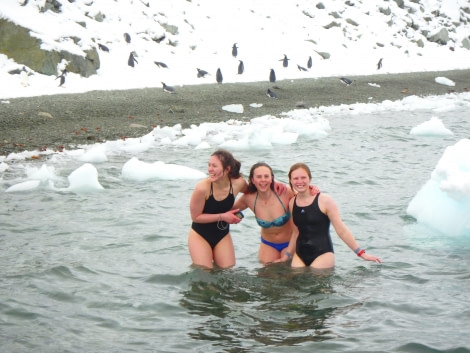 PLA31-18 Polar Plunge P3220033 © Oceanwide Expeditions.jpg © Oceanwide Expeditions.jpg