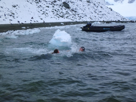 PLA31-18 Polar Plunge P3220017 © Oceanwide Expeditions.jpg © Oceanwide Expeditions.jpg