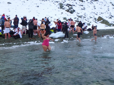 PLA31-18 Polar Plunge P3220043 © Oceanwide Expeditions.jpg © Oceanwide Expeditions.jpg