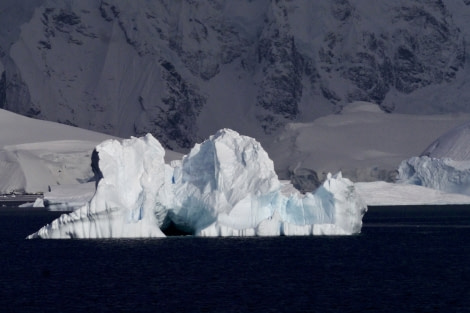 PLA31-18 Wilhelmina & Danco P1310405 © Oceanwide Expeditions.jpg © Oceanwide Expeditions.jpg