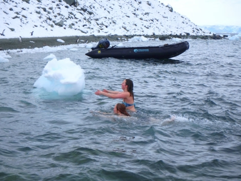 PLA31-18 Polar Plunge P3220031 © Oceanwide Expeditions.jpg © Oceanwide Expeditions.jpg