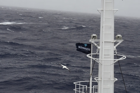 PLA31-18 Drake DrakePassage_D8304c © Oceanwide Expeditions.jpg