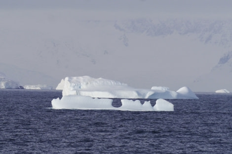 PLA31-18 Wilhelmina & Danco P1310203 © Oceanwide Expeditions.jpg © Oceanwide Expeditions.jpg