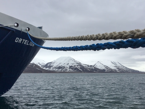 OTL03-18 20180529_Ortelius_SandraPetrowitz-Oceanwide Expeditions.jpg