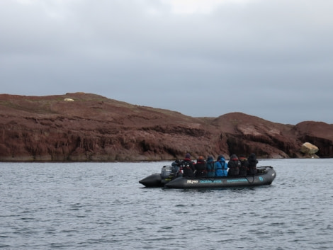 OTL09-18, Day 3 bear watching1-Oceanwide Expeditions.JPG