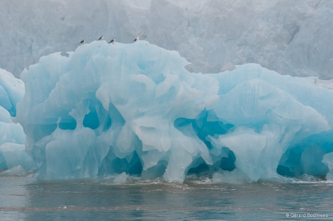 PLA13-18 Day06-06_Ausfonna_Plancius_GerardBodineau-Oceanwide Expeditions.jpg