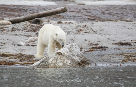 PLA09-18, Day 4 1V5A7211Anke_Timmerberg (3)-Oceanwide Expeditions.jpg