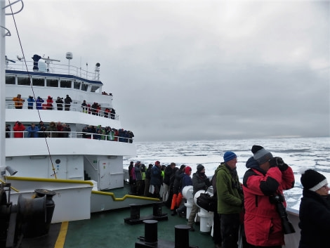 PLA14-18 Day 5 D5people watchingbear_shelli-Oceanwide Expeditions.JPG