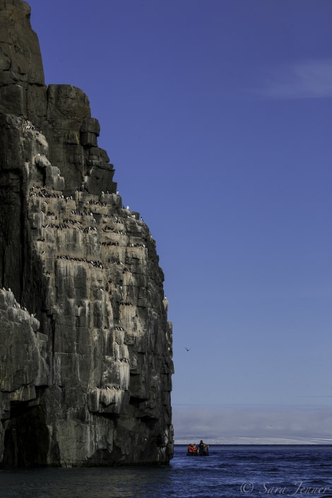 OTL09-18, Day 6 cliff face-Oceanwide Expeditions.jpg