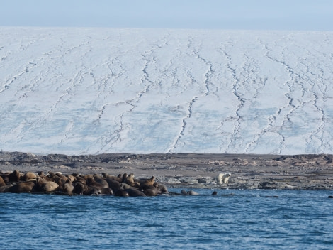 PLA14-18 Day 4 2018-08-23 (c) Christian Engelke-Oceanwide Expeditions.jpg