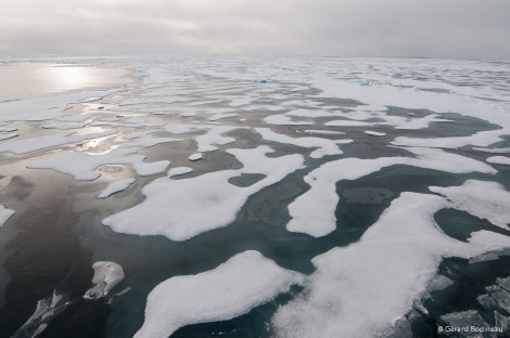 PLA13-18 Day05-01_ArcticOcean_PackIce_GerardBodineau-Oceanwide Expeditions.jpg