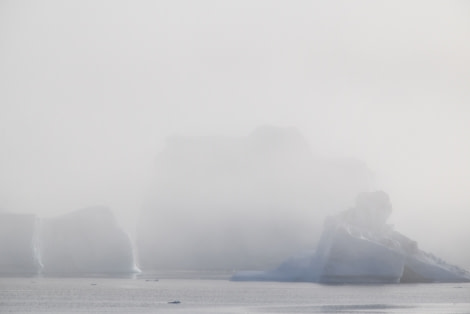 PLA16-18 Day 10 Day 10 RodeØ.ice_shelli-Oceanwide Expeditions.JPG