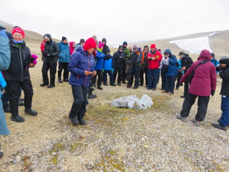 PLA14-18 Day 7 Day 7 whale bones_shelli-Oceanwide Expeditions.JPG