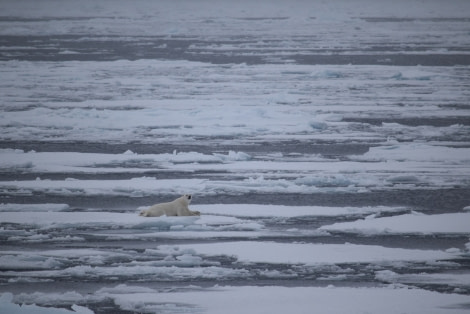 PLA15-18 Day 5 Day 5 Bearnap_shelli-Oceanwide Expeditions.JPG