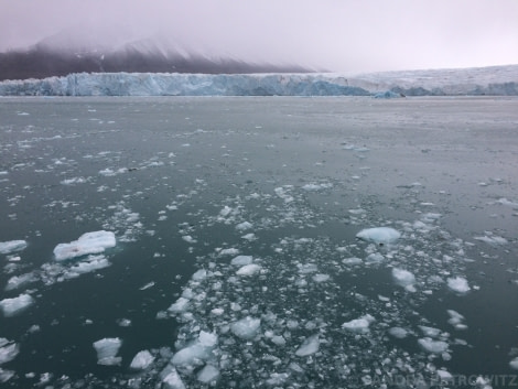 PLA15-18 Day 3 Day3_20180831_Liefdefjorden_SandraPetrowitz-Oceanwide Expeditions.jpg