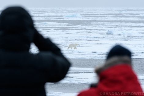 PLA15-18 Day 5 Day520180902_Bear_SandraPetrowitz-Oceanwide Expeditions.jpg