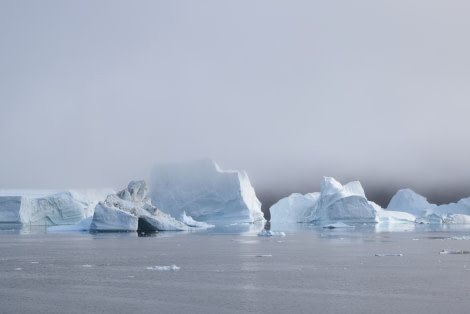 PLA16-18 Day 10 Day 10 RodeØ.ice2_shelli-Oceanwide Expeditions.JPG